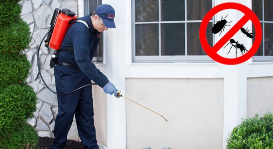 Odunpazarı Dezenfeksiyon böcek ilaçlama ve haşere kontrolü — ilaclama-tr.com